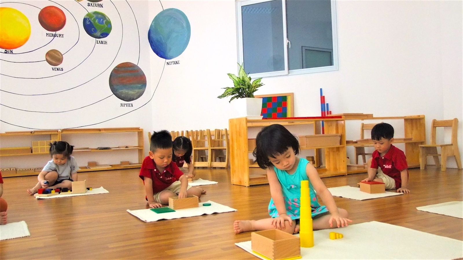 Cơ sở Tân Triều